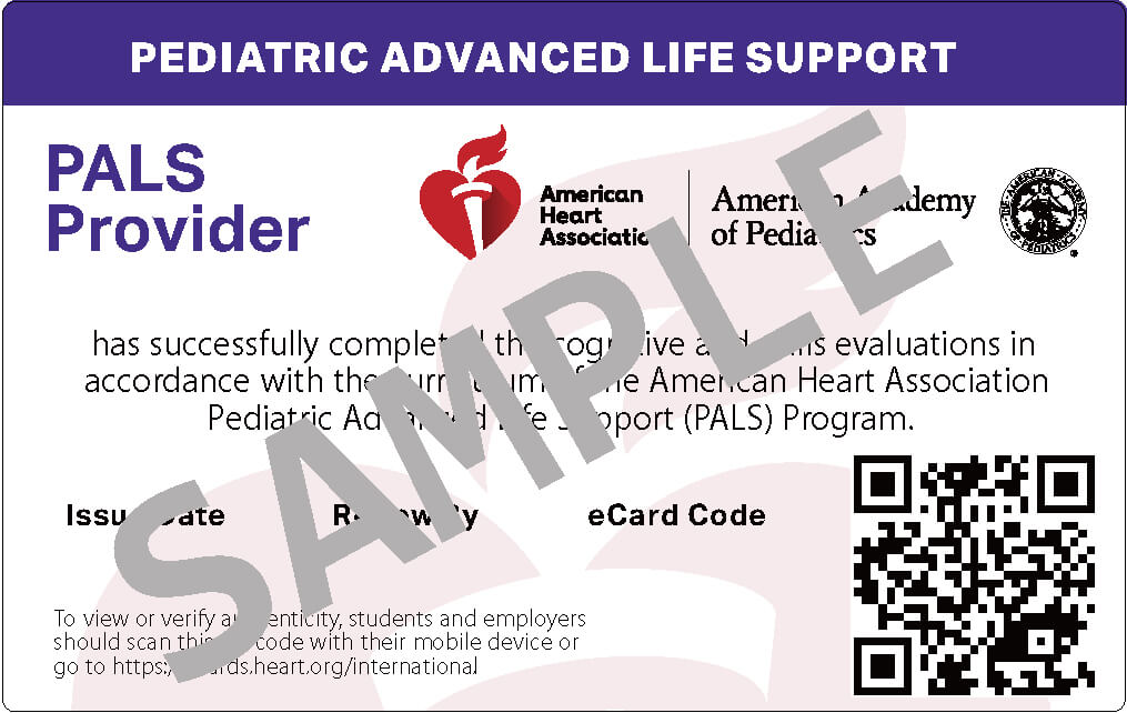 PALSプロバイダーコース